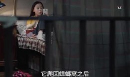 爆料姐的视频在线观看,独家内容大揭秘！